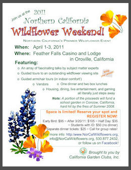 Poster for the 2014 Wildflower Weekend